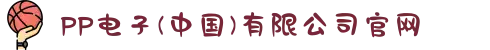 PP电子(中国)有限公司官网
